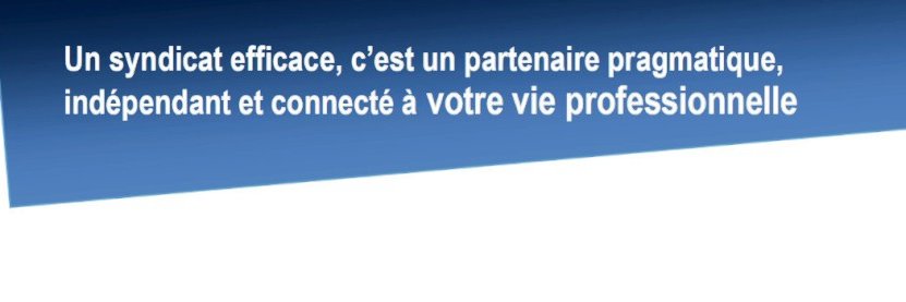 SectionSyndica's profile banner image