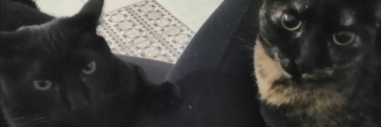 lachemies's profile banner image