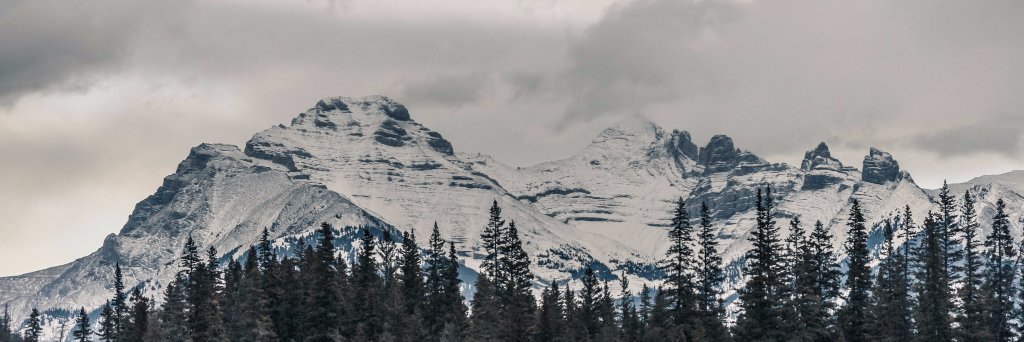 HaggisRFC's profile banner image