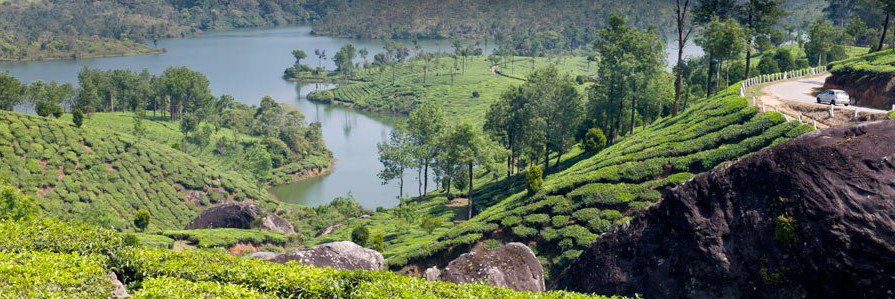 bateshwar_kumar's profile banner image