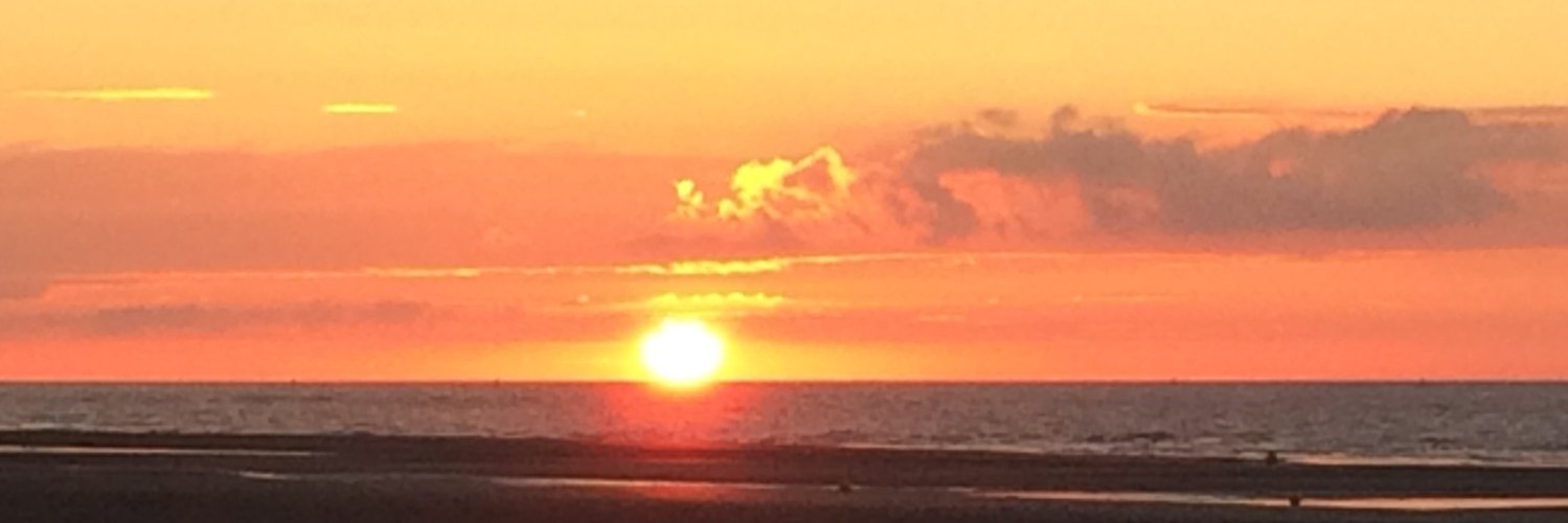 Valérie Delacour banner