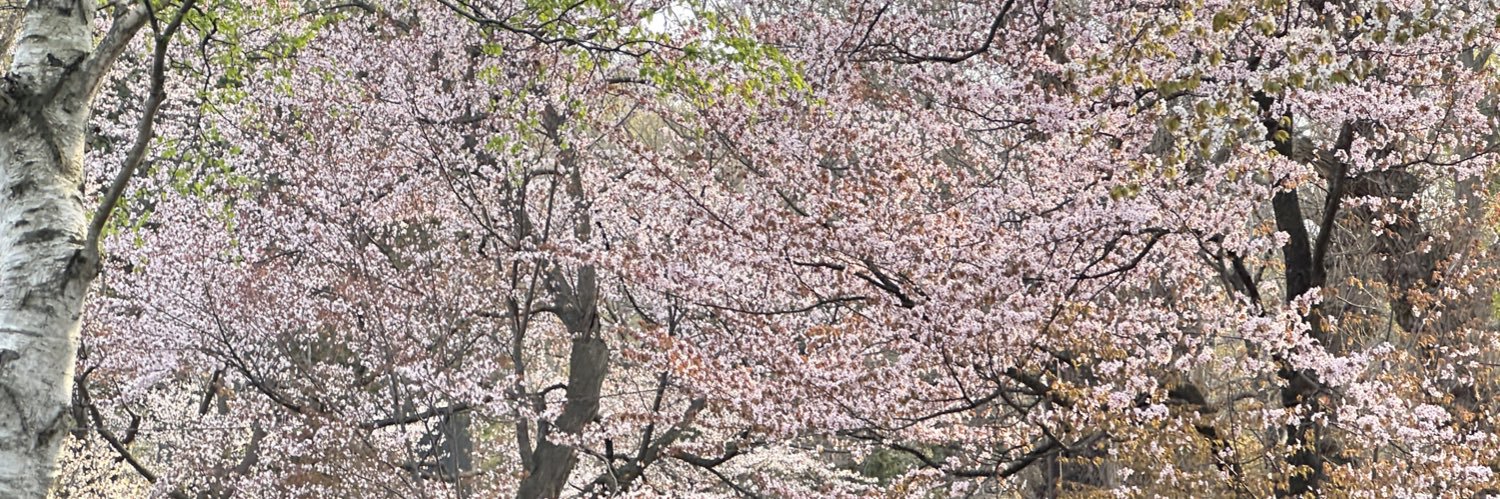 ハンカ゚ー banner