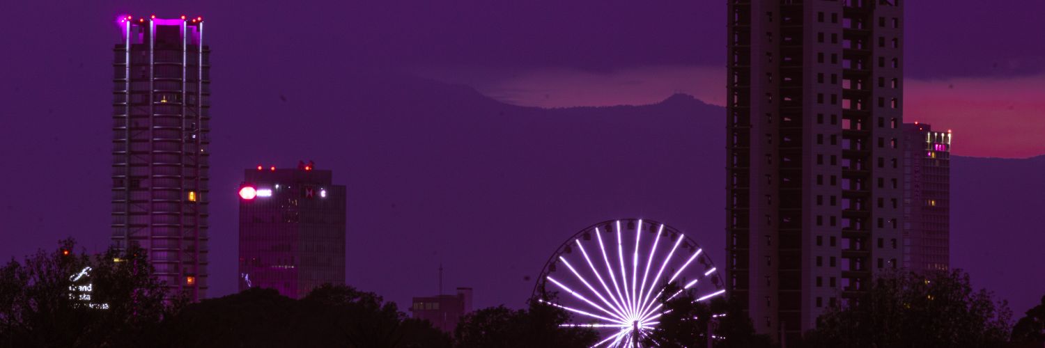XMisanthrope's profile banner image