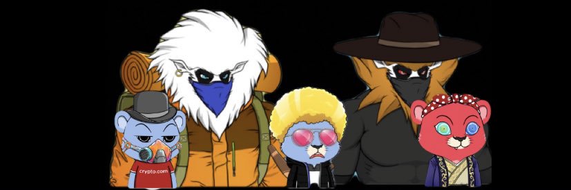 sunnyd282's profile banner image