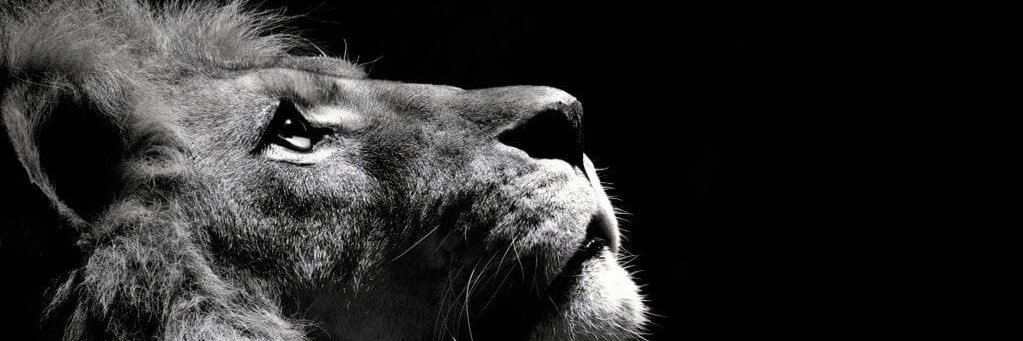 Edgn_58's profile banner image