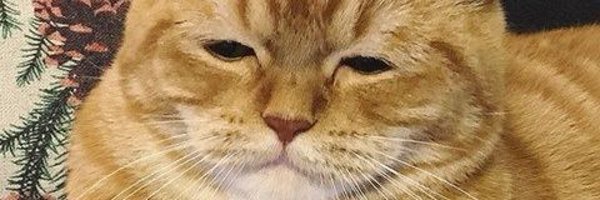 DDa_on11 Profile Banner