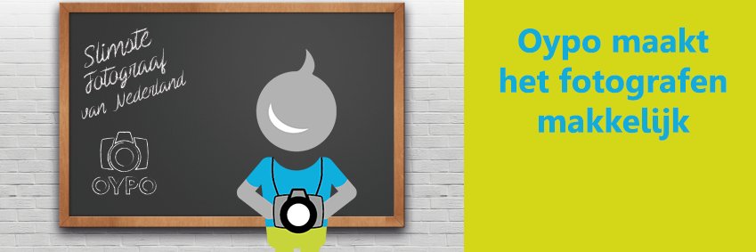 oypo's profile banner image