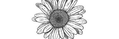 _ItsJustTy's profile banner image