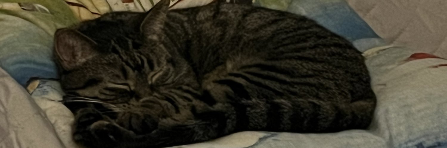 kellbell73's profile banner image