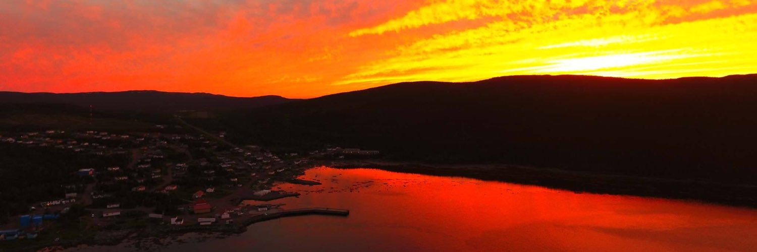 Kristy Sheppard banner