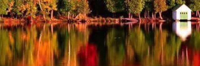 Haliburton Life banner