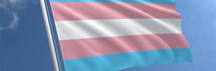 tsflaggirl's profile banner image