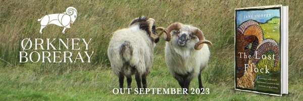 OrkneyBoreray Profile Banner