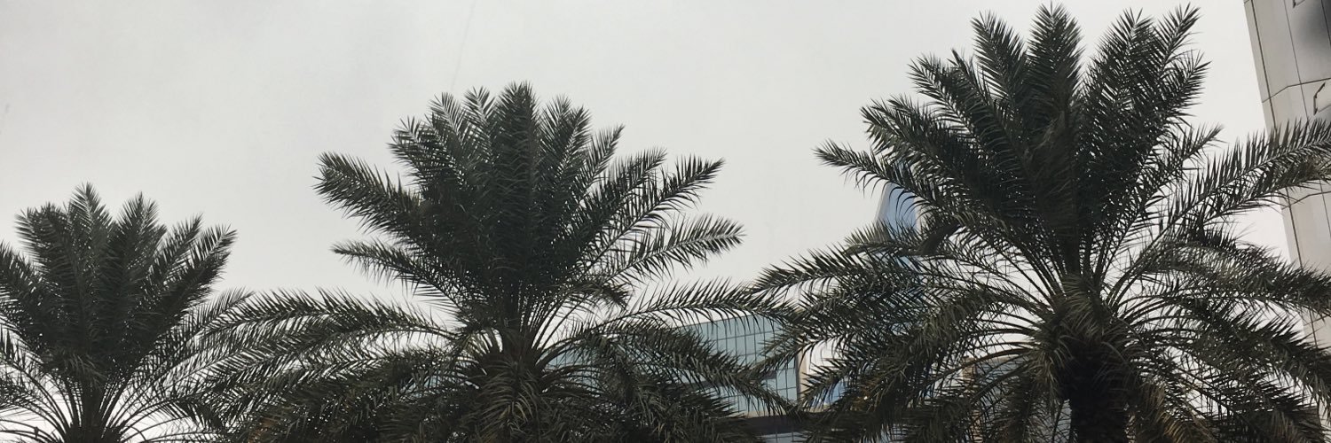 waliednoor's profile banner image