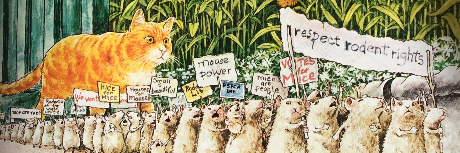 Elora 🎻🐇🪩🏖️ banner