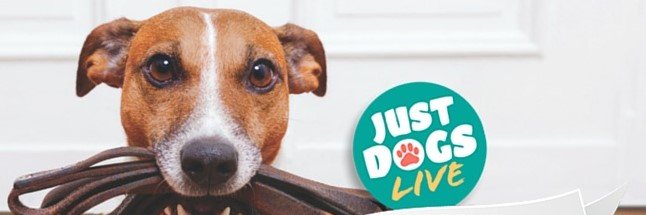 Just Dogs Live banner