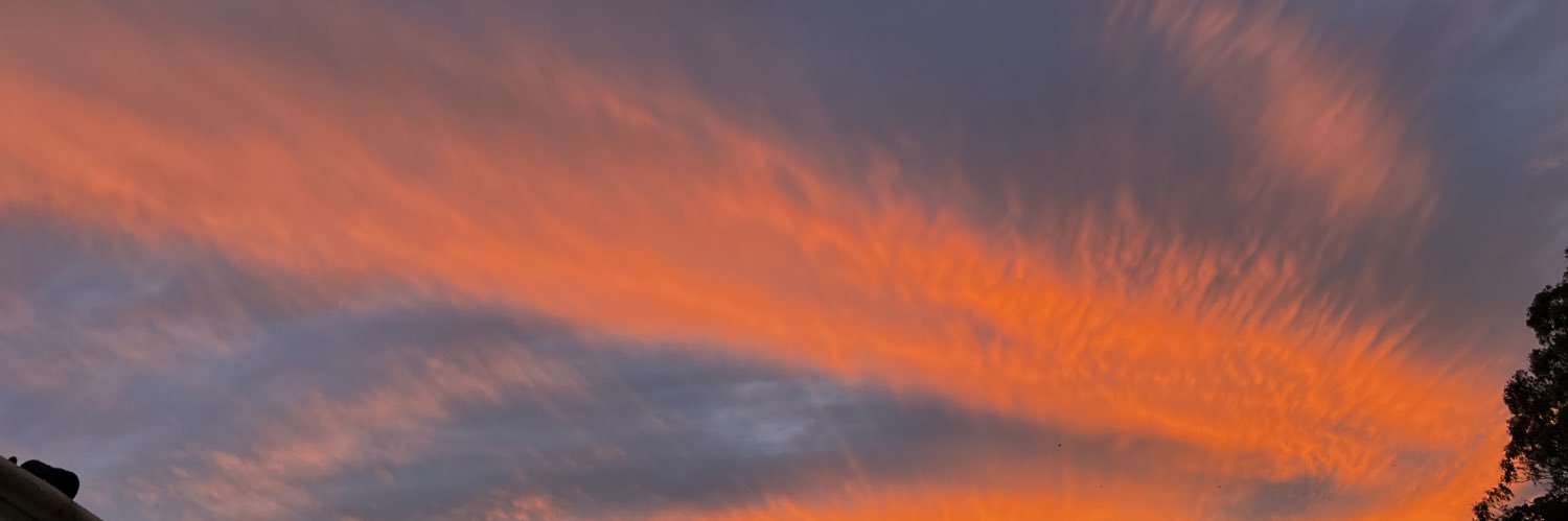 tojm10's profile banner image