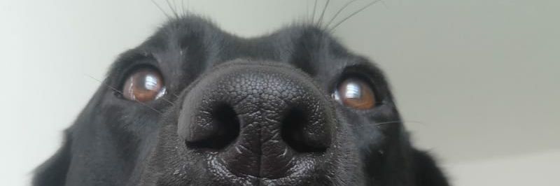 realCritix's profile banner image