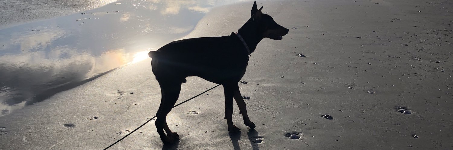 akashiba.love banner