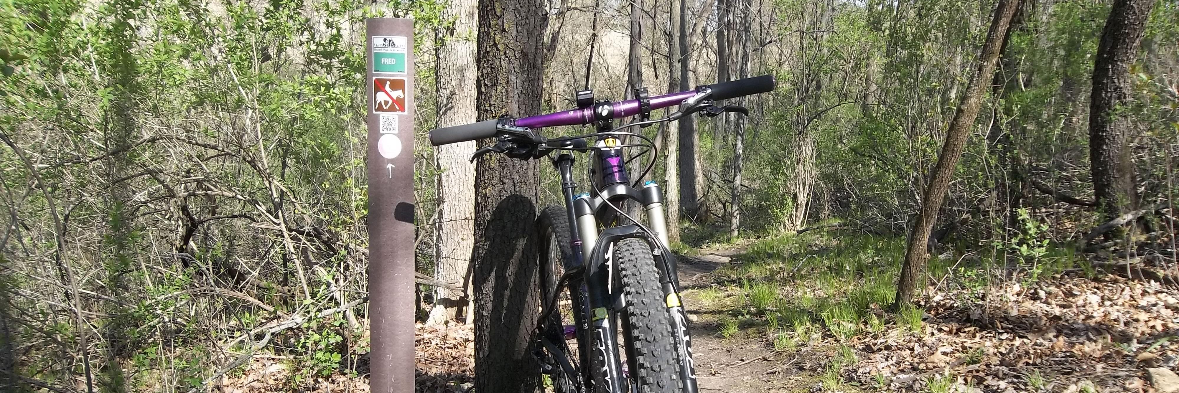 JosieBikeLife's profile banner image