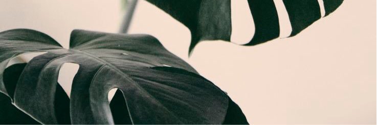jennifermula's profile banner image