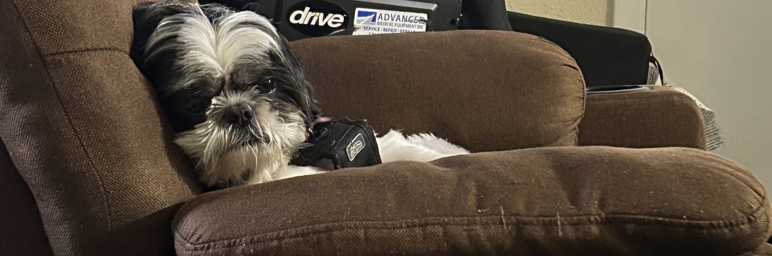 ⚜️New Orleans vs Everybody⚜ banner