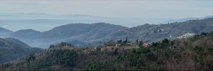 FBGervais's profile banner image