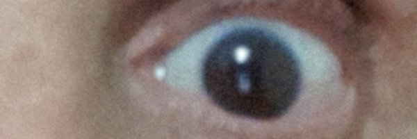 MAVR1963 Profile Banner