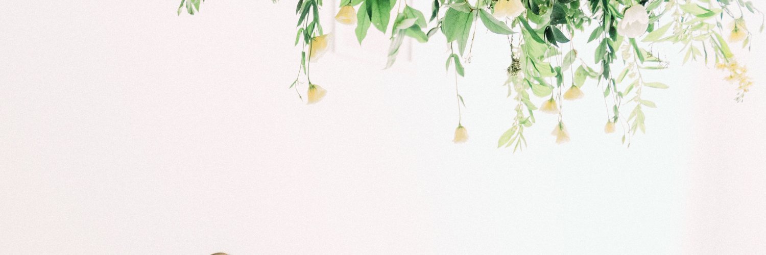 bethy_ev's profile banner image
