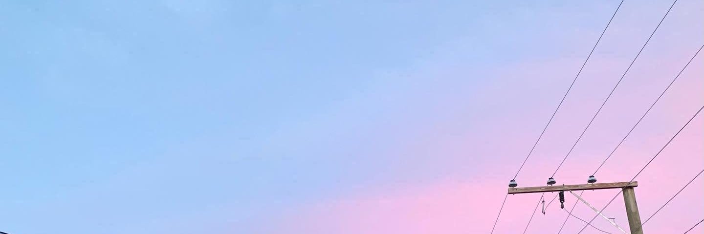 Julie Pence banner