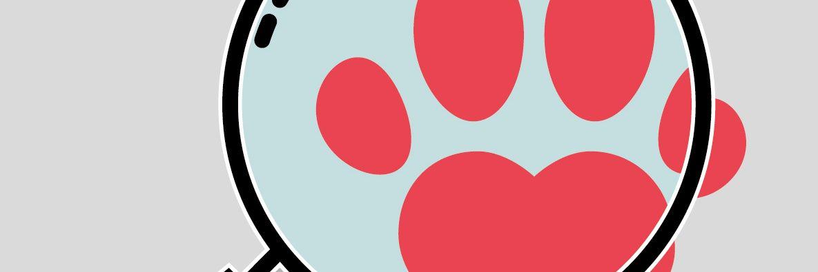 exploradog's profile banner image