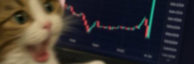 xomaxx's profile banner image