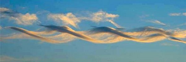 gardeux_vincent Profile Banner