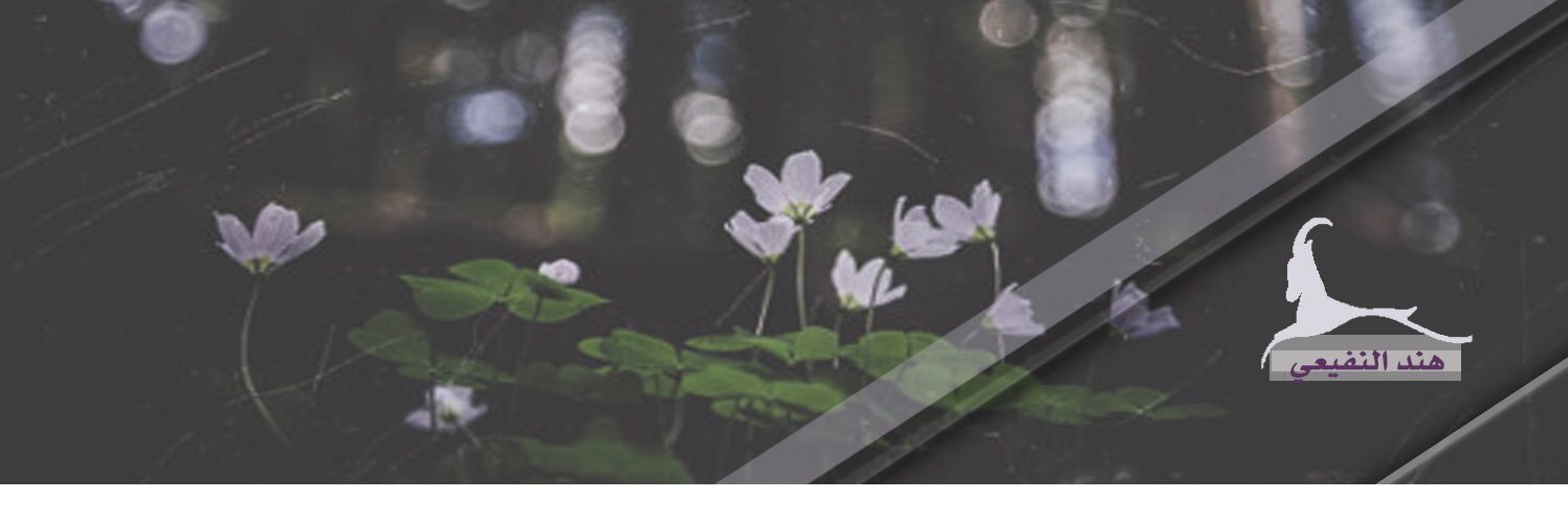 ‎﮼هند ﮼النفيعي ﮼ banner