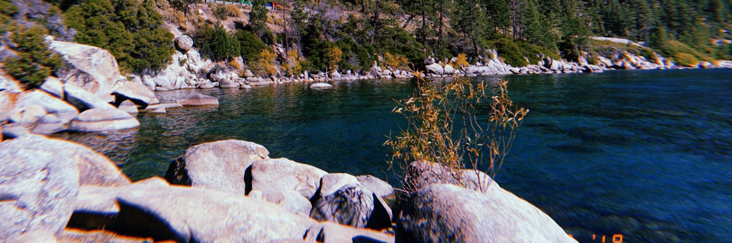 macphail_haley's profile banner image