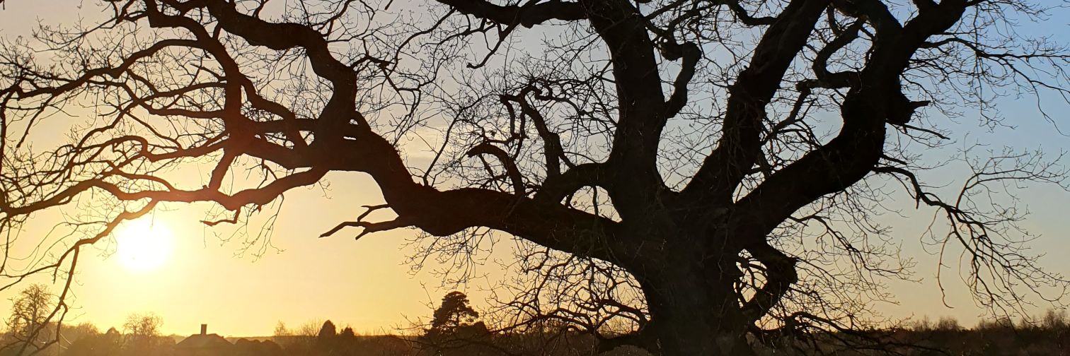 HJGilbert's profile banner image