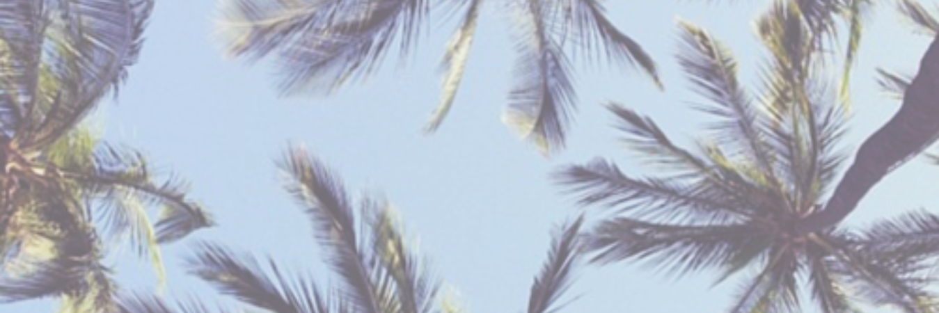 JennaRPGWTBU's profile banner image