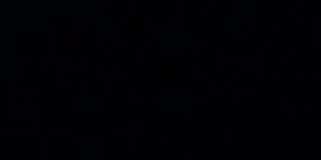 seafluerstyles's profile banner image