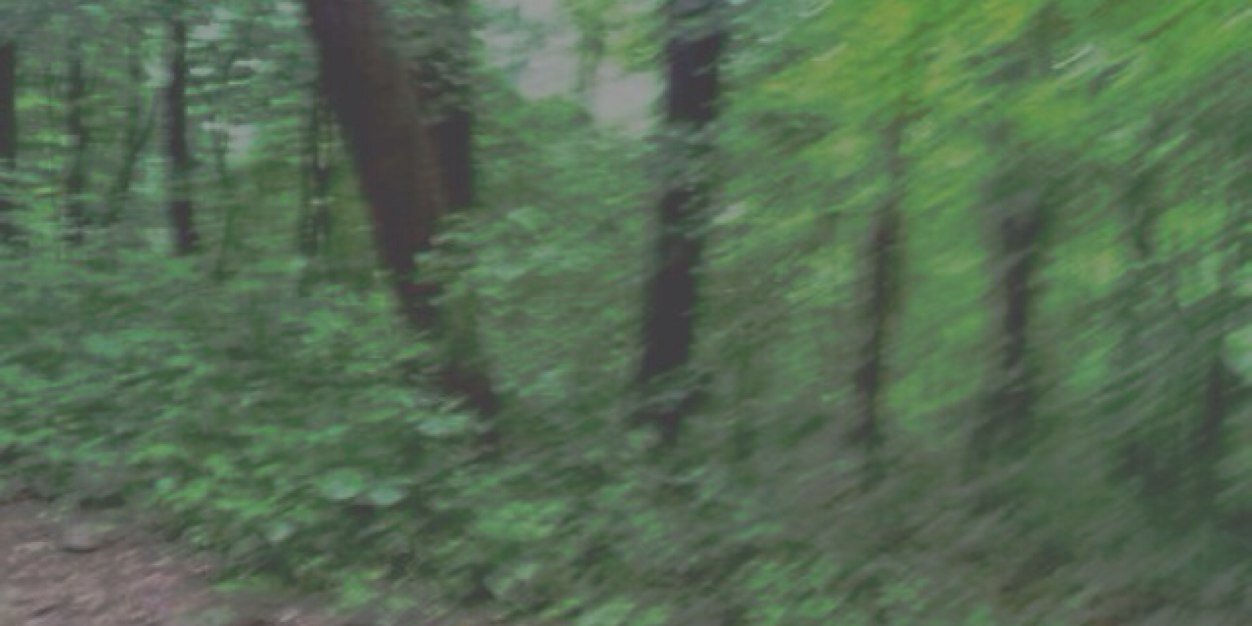 BrianWFAI's profile banner image