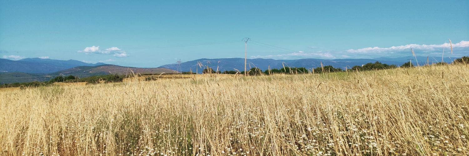 taboadaolalla's profile banner image