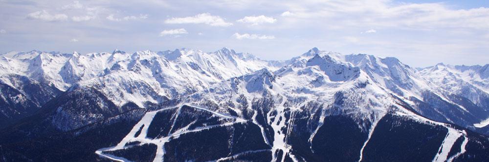 afvcozzi's profile banner image