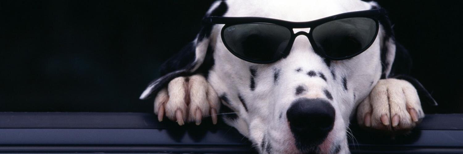 skapa99's profile banner image