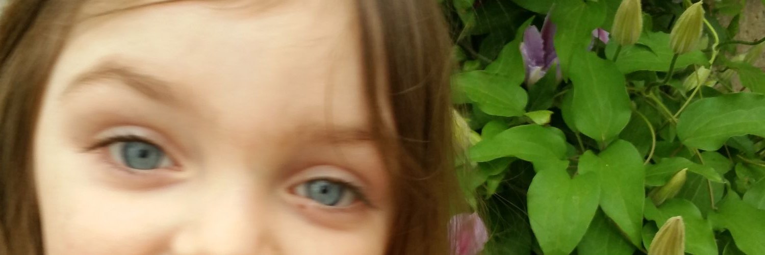 AndeaDeck's profile banner image