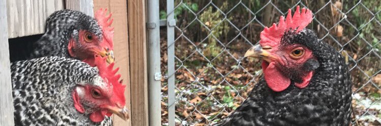 Marisa_jjohnson's profile banner image