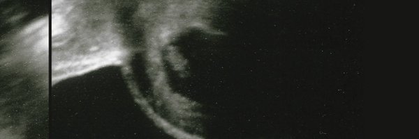 PALMHONEYBAND Profile Banner