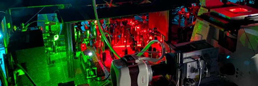 Ankith Sharma banner