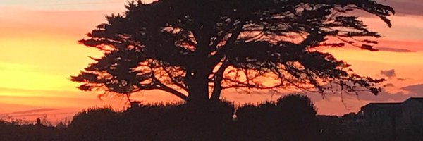 26eltel Profile Banner