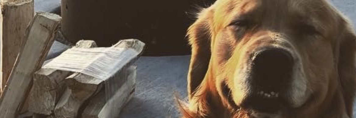 Tgubb24's profile banner image
