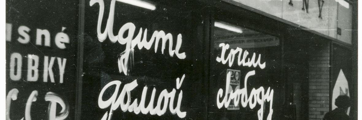 David Matějček banner