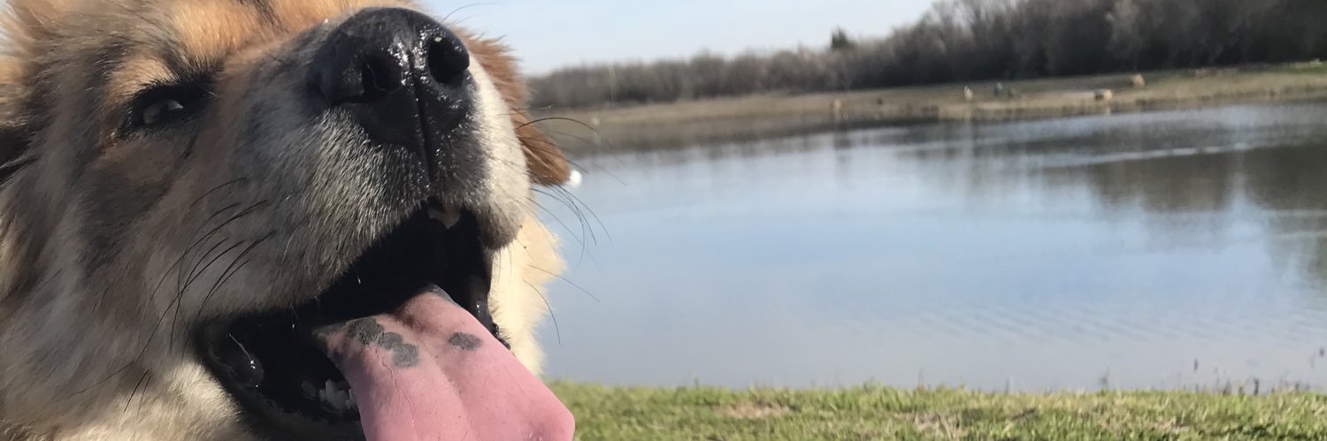thenamesyop's profile banner image